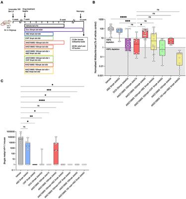 Combinations of the azaquinazoline anti-Wolbachia agent, AWZ1066S, with benzimidazole anthelmintics synergise to mediate sub-seven-day sterilising and curative efficacies in experimental models of filariasis